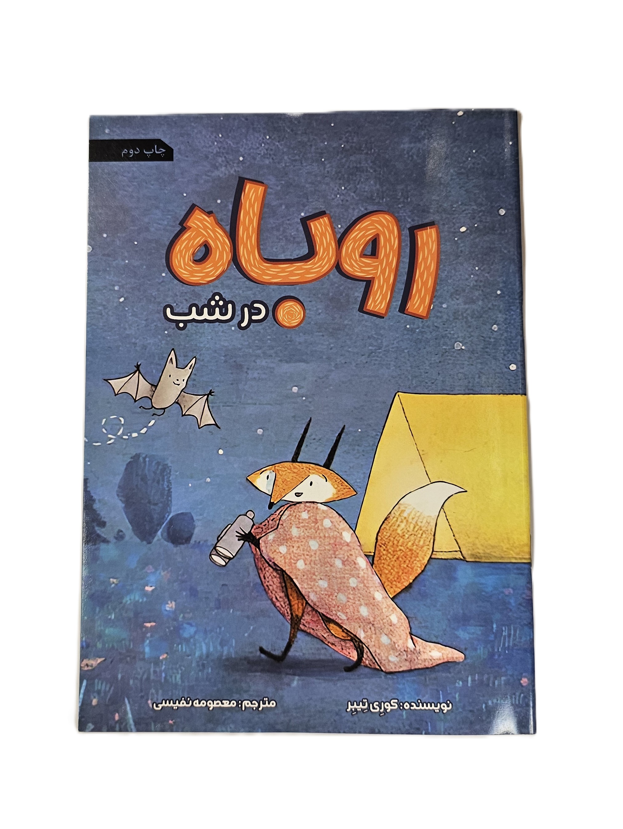 روباه در شب